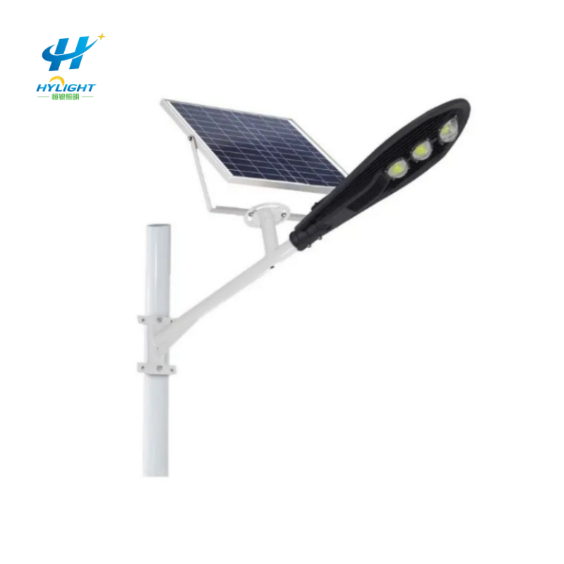 Promotion Outdoor LED Street Light IP66 with Round Tennis Twin Lamps