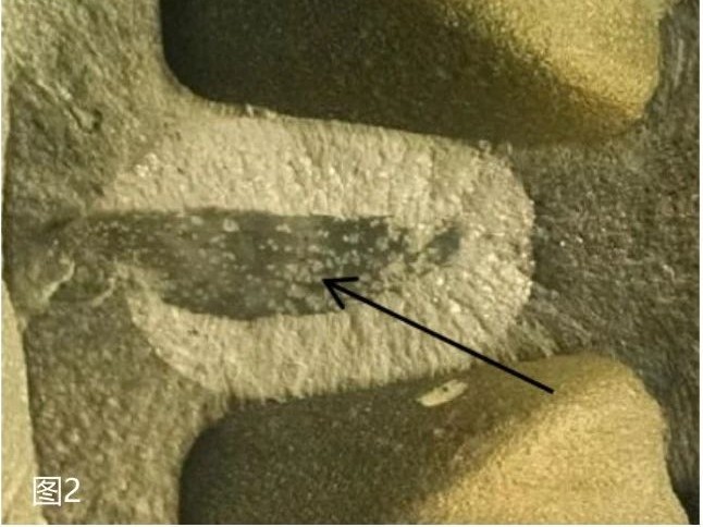 1734776434729038967355621376.png 1734776434729038967355621376.png