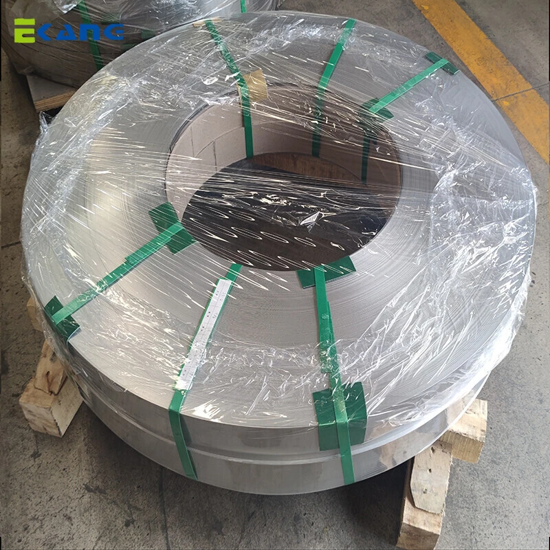 316L Stainless Strip