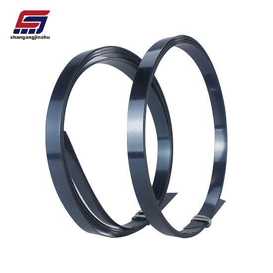 carbon steel strip (1).jpg