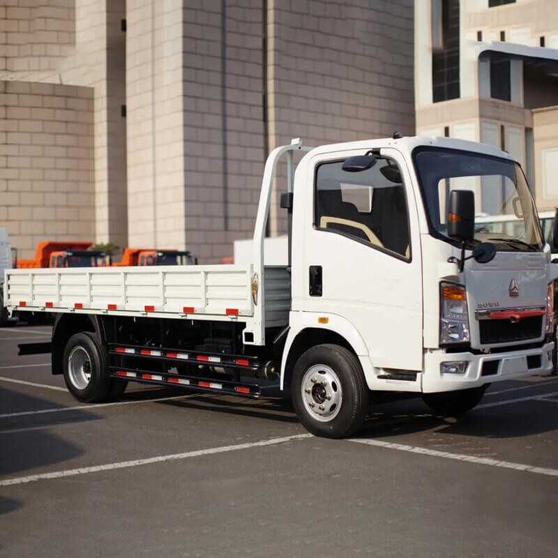 Light Duty Cargo Truck