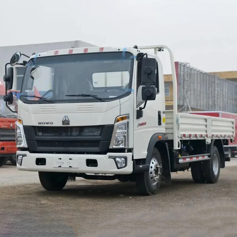 Light Duty Cargo Truck