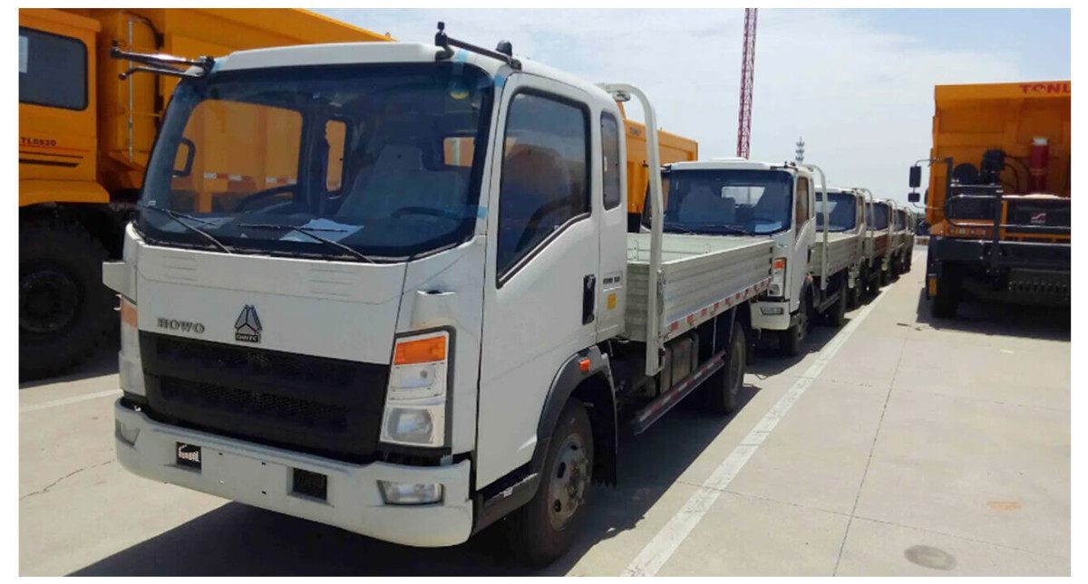 light duty cargo truck (2).jpg