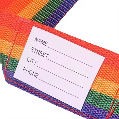 luggage strap