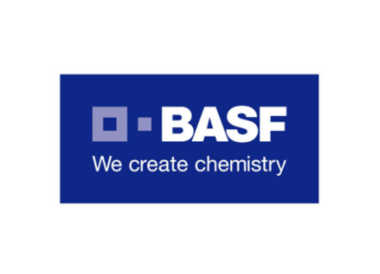 画板 1 拷贝 14.png