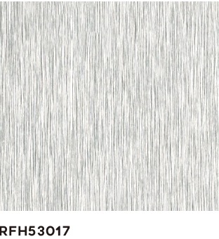 RFH53017