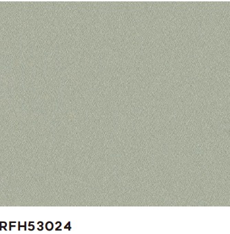 RFH53024