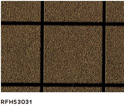 RFH53031
