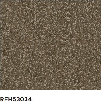 RFH53034
