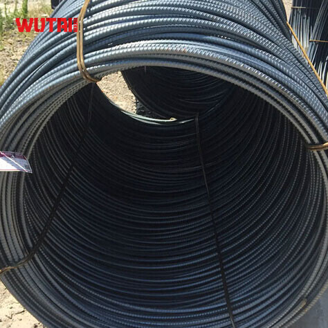 ASTM A510 Steel Wire Rod
