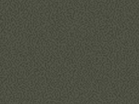 1735955069733982519437283330.jpg Agate gray