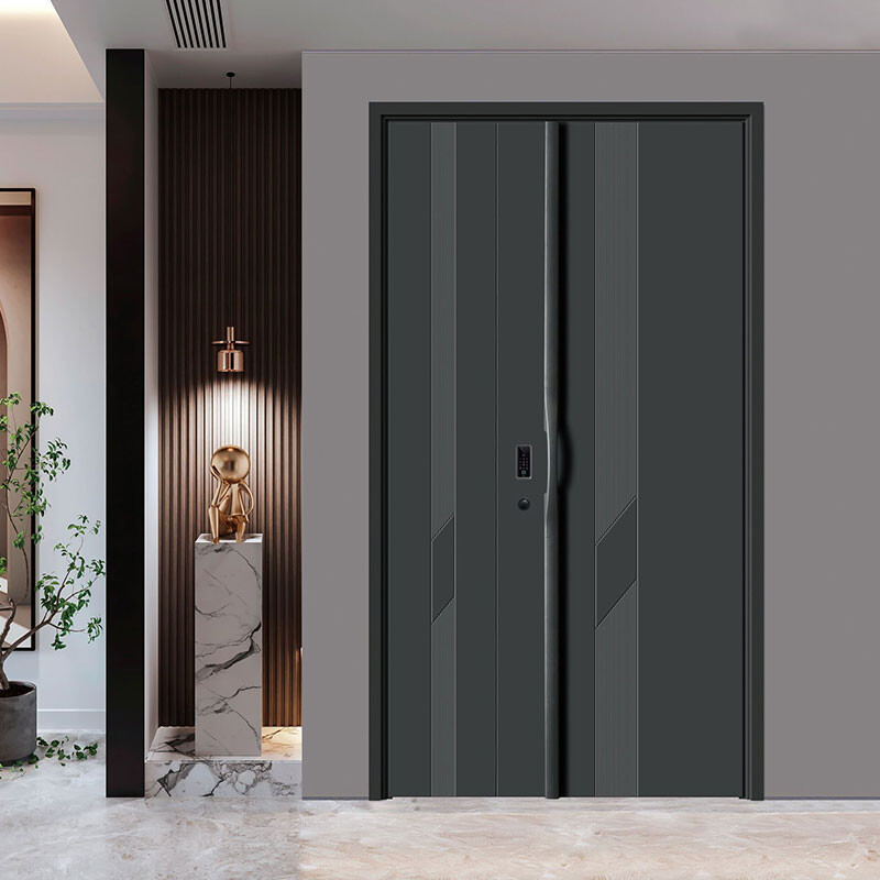 Modern Entrance Door