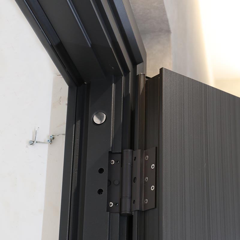 Modern Entrance Door