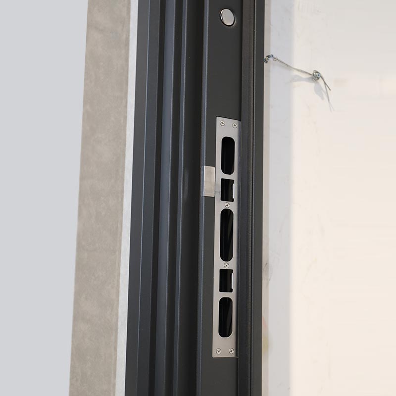 Modern Entrance Door