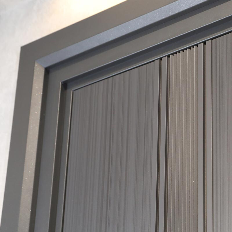 Modern Entrance Door