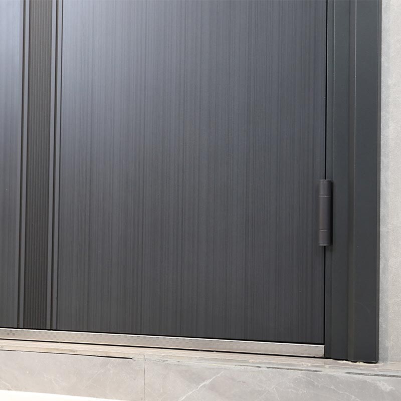 Modern Entrance Door