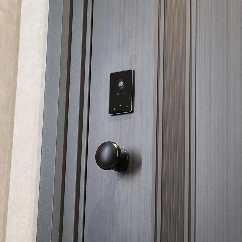 Modern Entrance Door