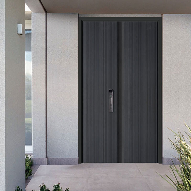 Minimalist Modern Entrance Door