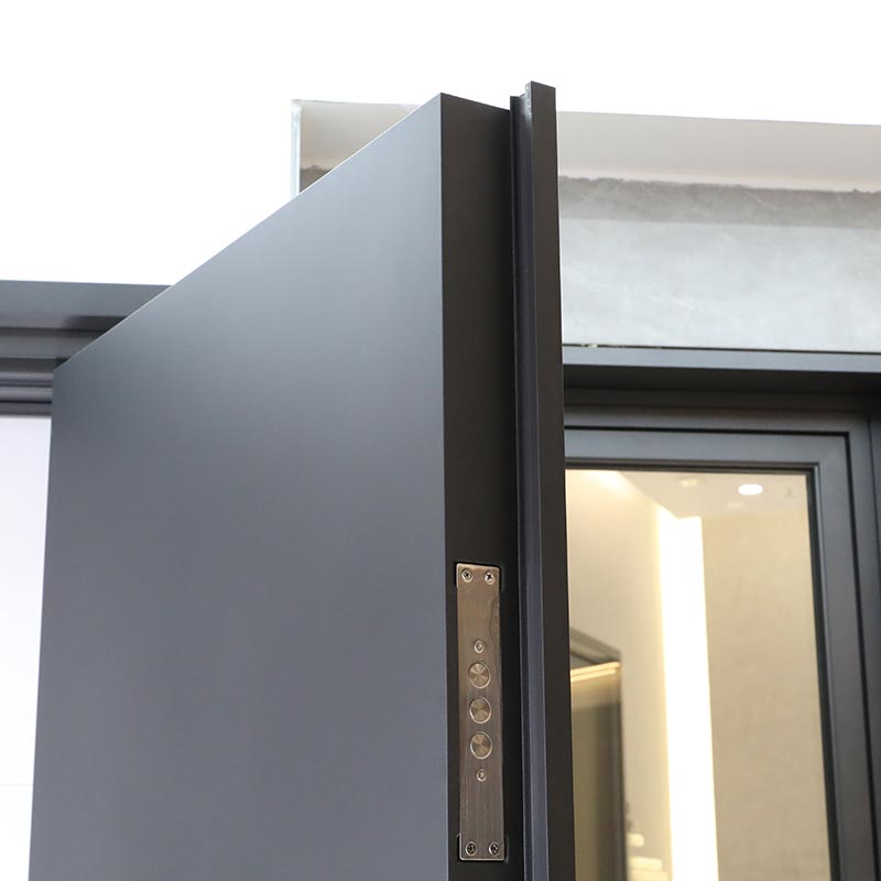 Entrance Door with Handle