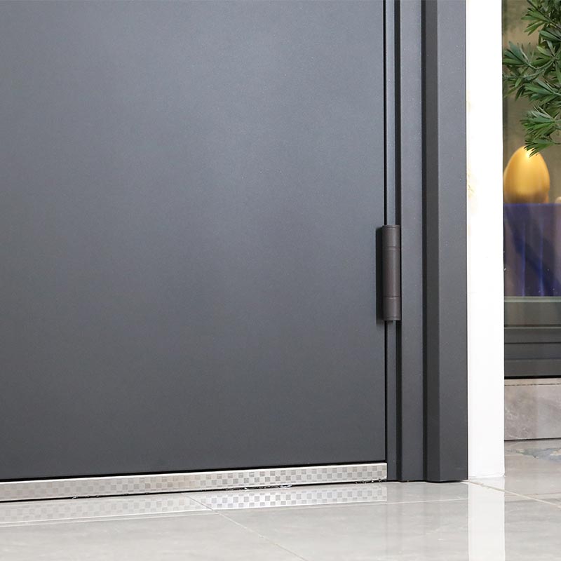 Entrance Door with Handle