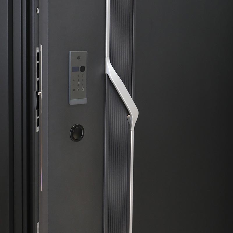 Entrance Door with Handle