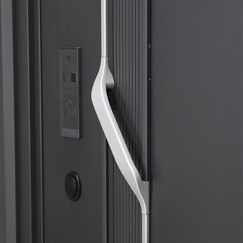 Entrance Door with Handle