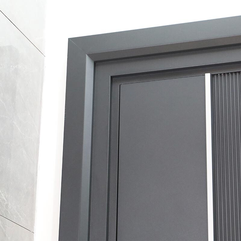 Entrance Door with Handle