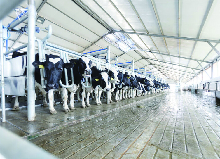 Are You Getting the Best Performance from Your Milking Equipment? Are You Getting the Best Performance from Your Milking Equipment?