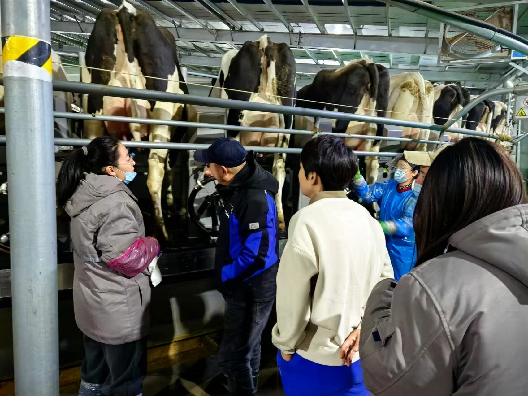 Smart Milking Revolution: Jinan Fowcows Agri-Tech Co.,Ltd Unveils Next-Gen Milking Equipment and Accessories Smart Milking Revolution: Jinan Fowcows Agri-Tech Co.,Ltd Unveils Next-Gen Milking Equipment and Accessories