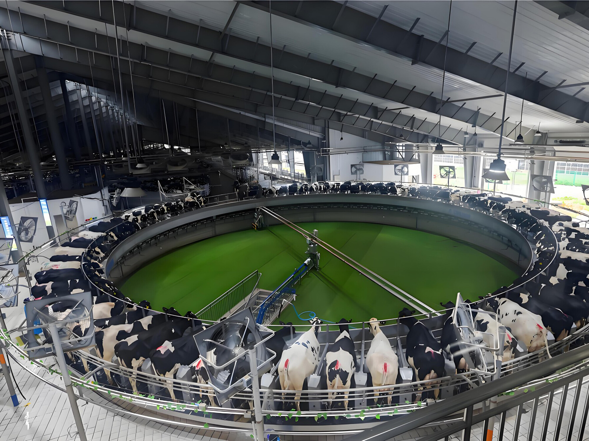 Milking parlor upgrade solutions.jpg