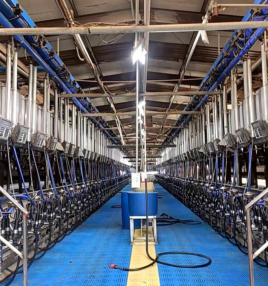 NEMNP25 Parallel Milking Equipment