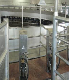 NEMA4300 Rotary Milking Equipment