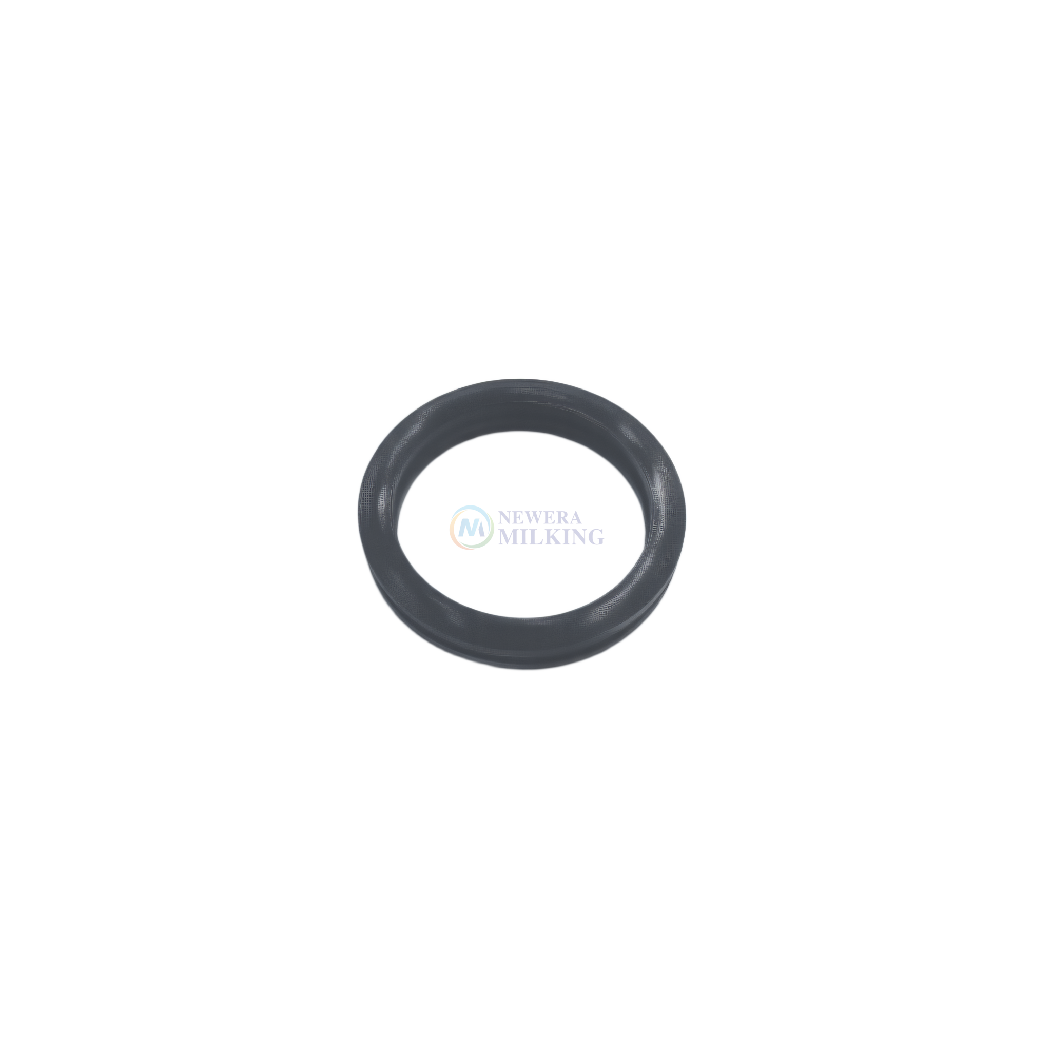 Gasket small f pulsator base