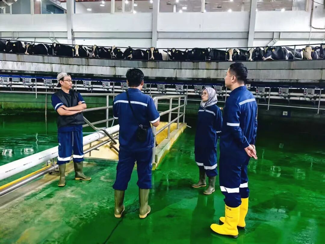 1766569287862387857663475712.jpg 1766569287862387857663475712.jpg