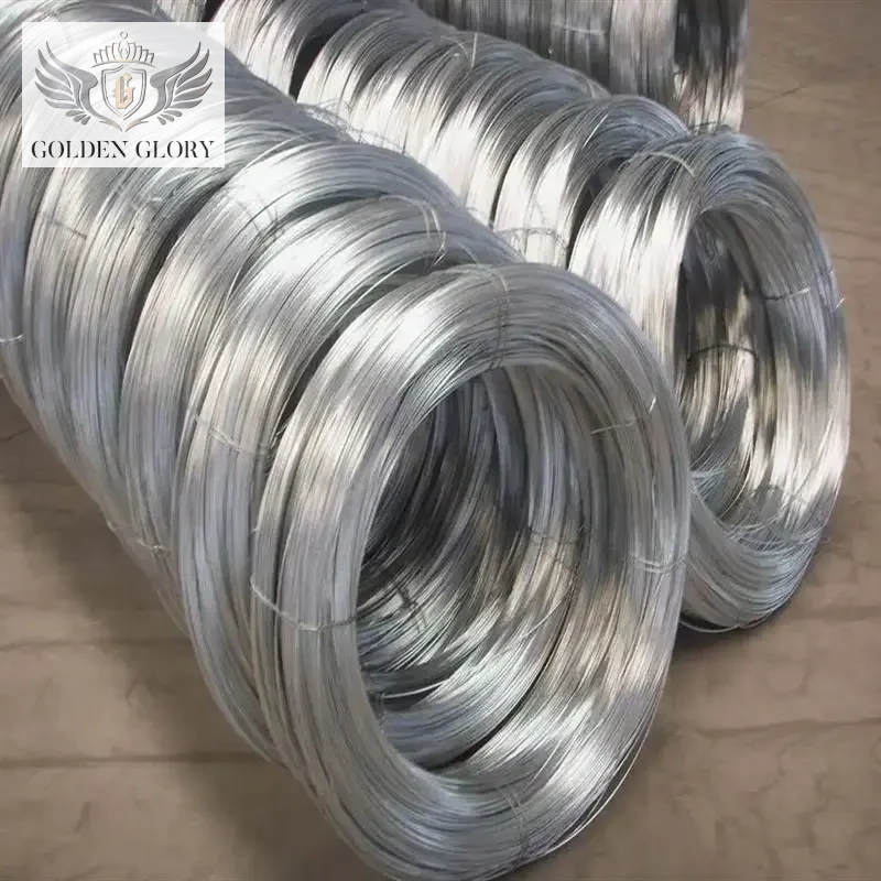 BWG20 21 22 Galvanized Iron Wire