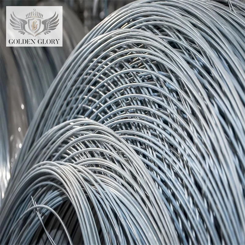 BWG20 21 22 Galvanized Iron Wire