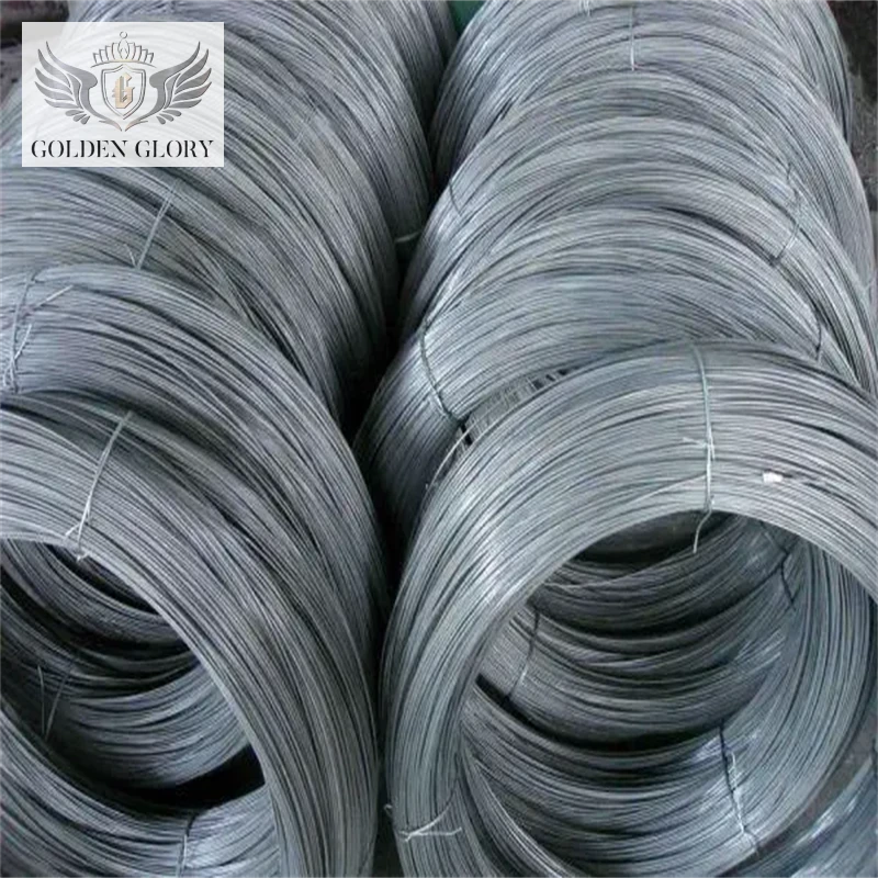 Galvanized steel wire rope 6*19S+IWRC 6*36SW+IWRC for hoist crane