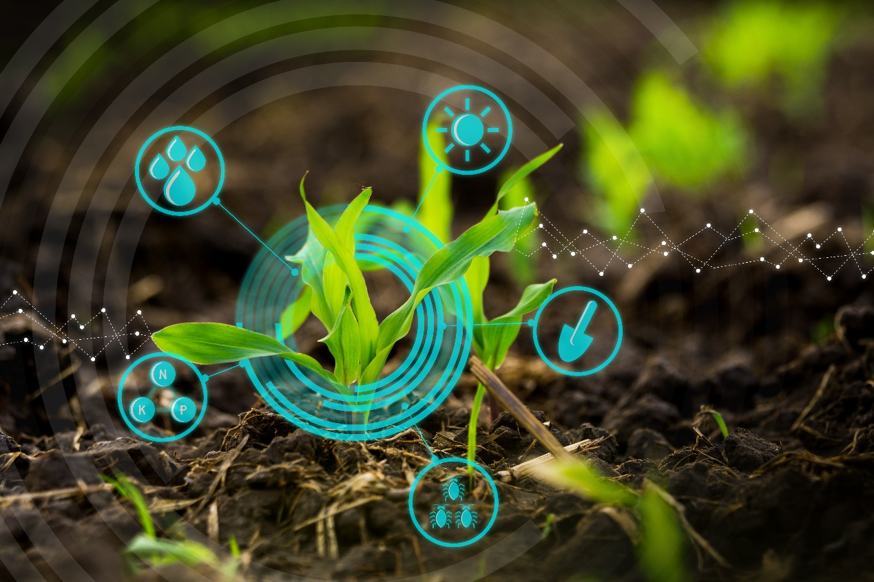 Promoting new fertilizers to assist modern agriculture  Promoting new fertilizers to assist modern agriculture