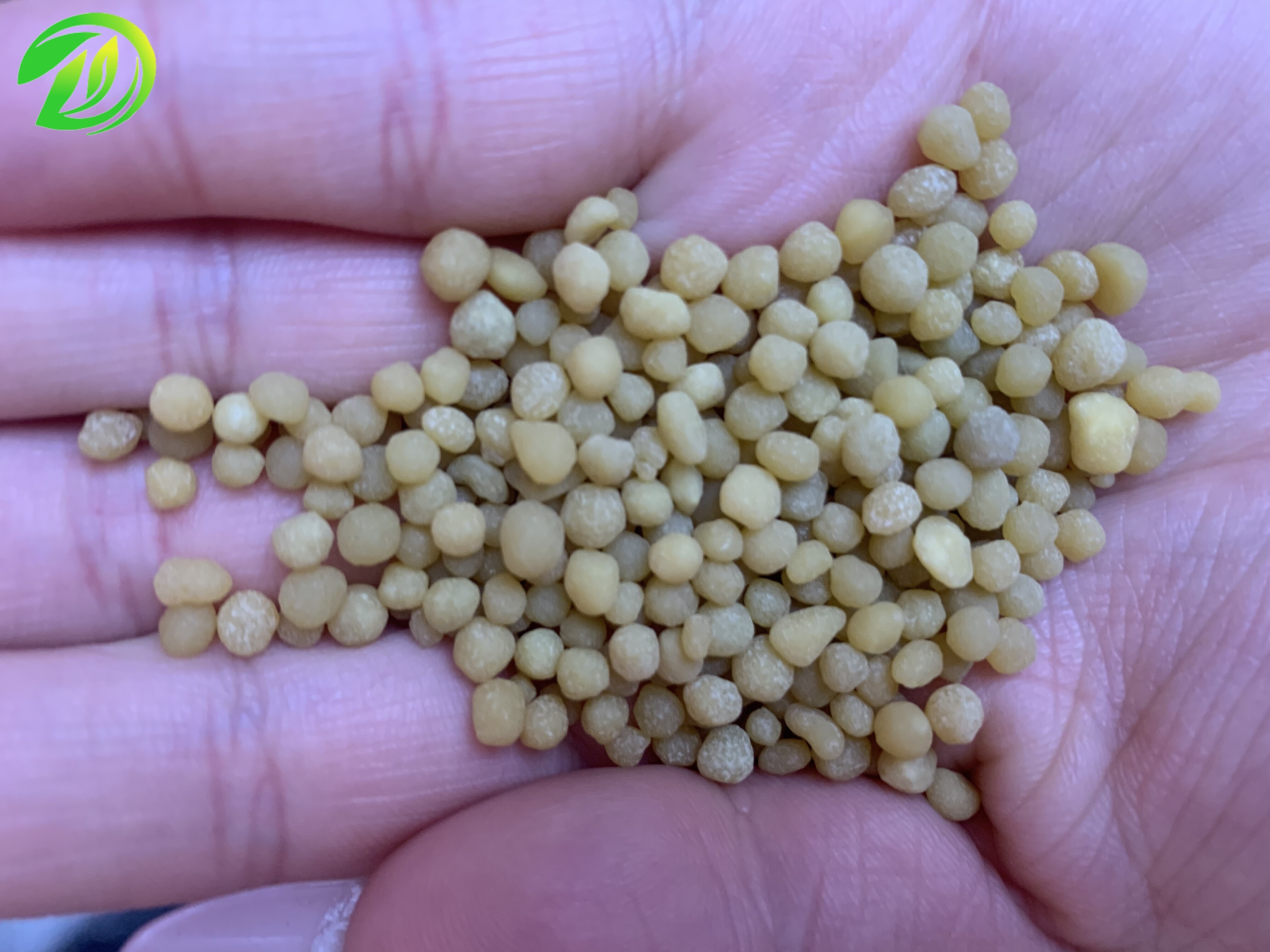 Stable Diammonium Phosphate Particles