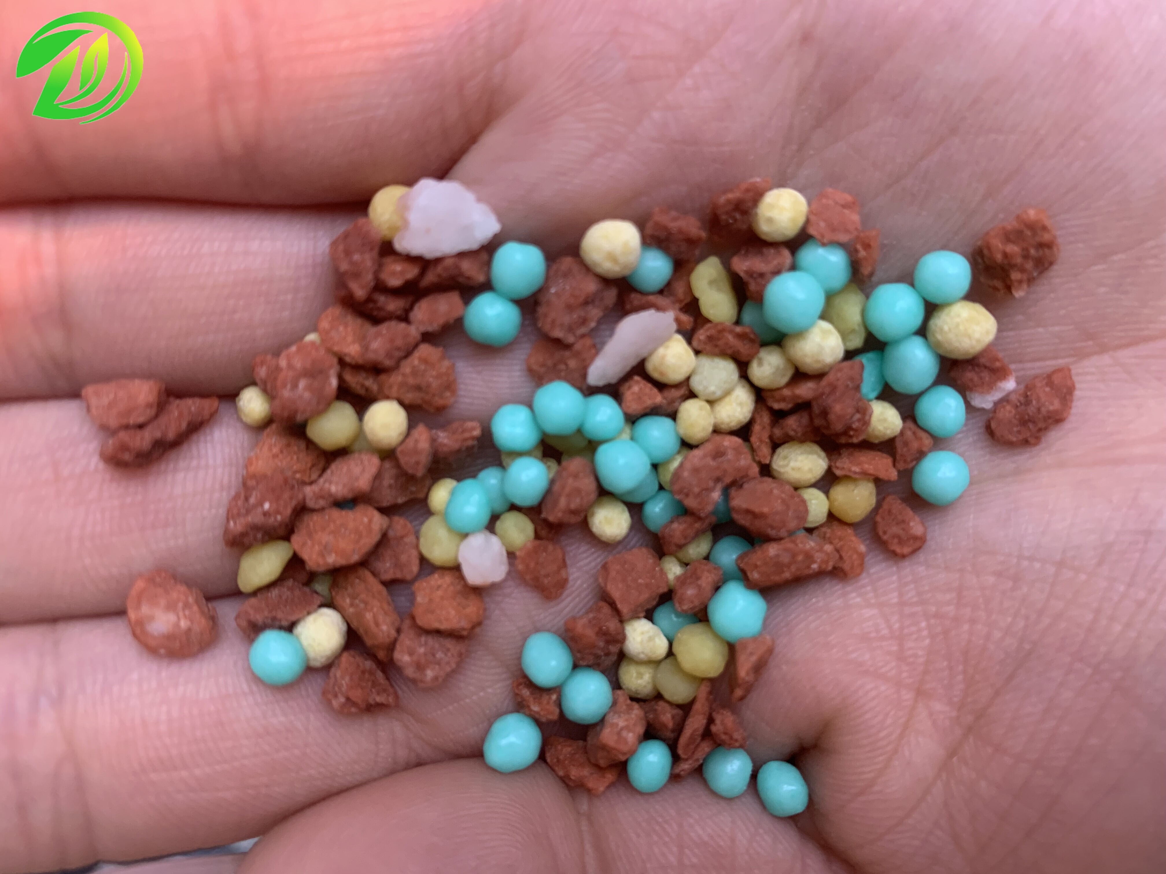 Scallion Ginger Garlic Special Controlled-Release Fertilizer