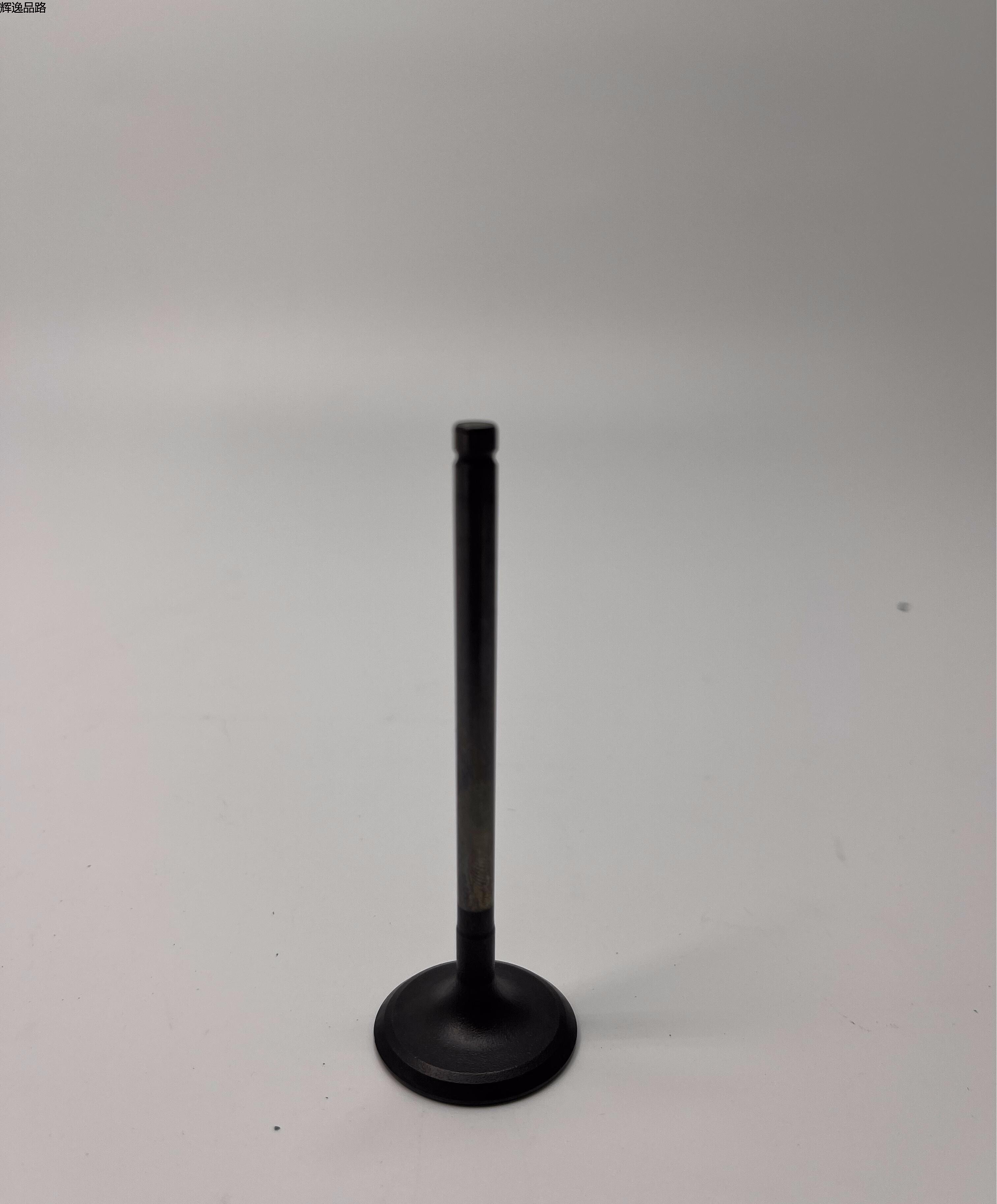 OE:22211-2B400 inlet valve Suitable for G4FC engine