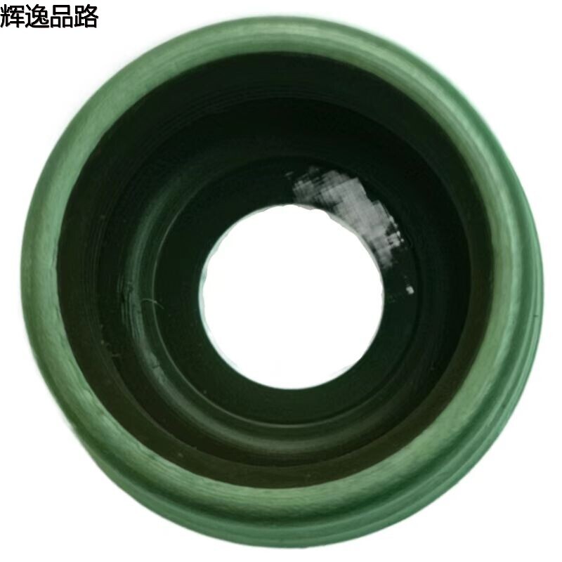 9443787 valve oil seal for Volvo S80/S60