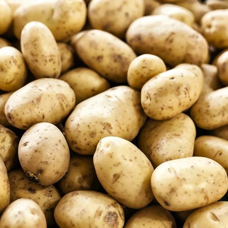 potato 100g 10kg/1box