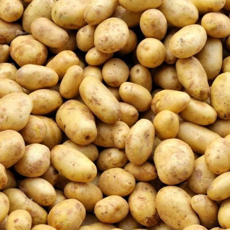 potato 150g 10kg/1box