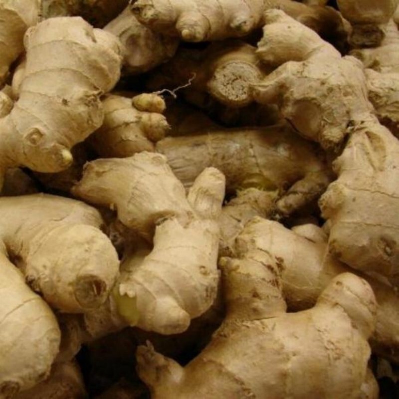 ginger 150g 10kg/1box