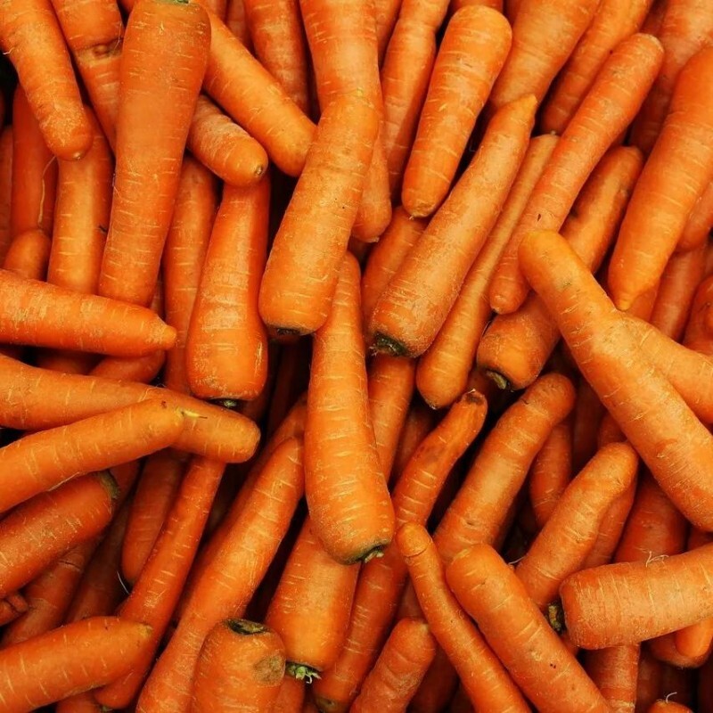 Carrot M 10kg/1box