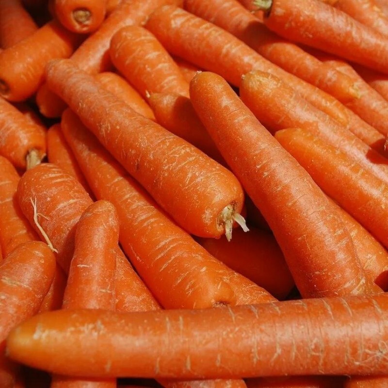 Carrot M 10kg/1box