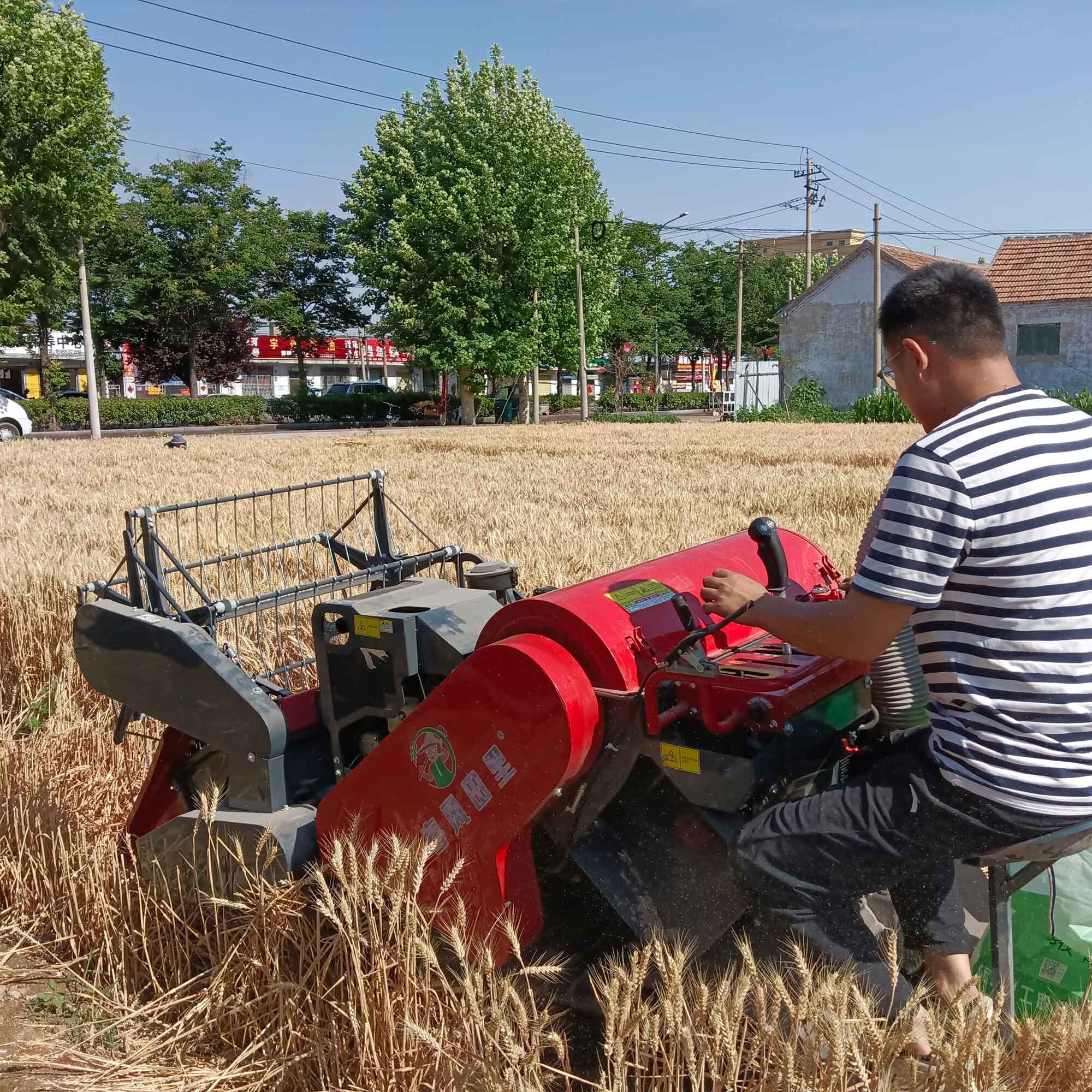 4LZ-1.0 Small combine harvester