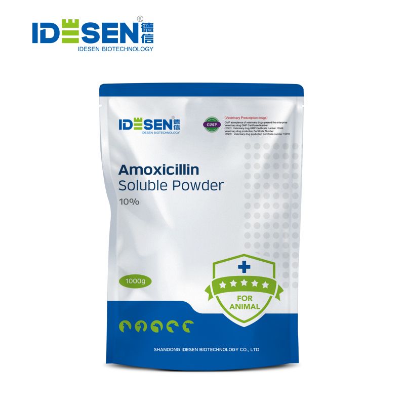 Amoxicillin Soluble Powder