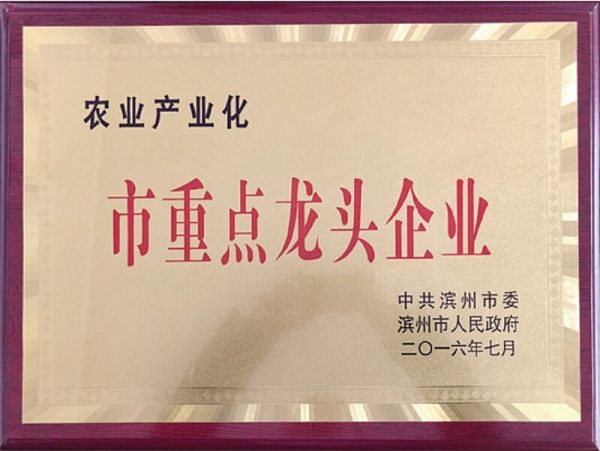 Certificate (3)(1).jpg